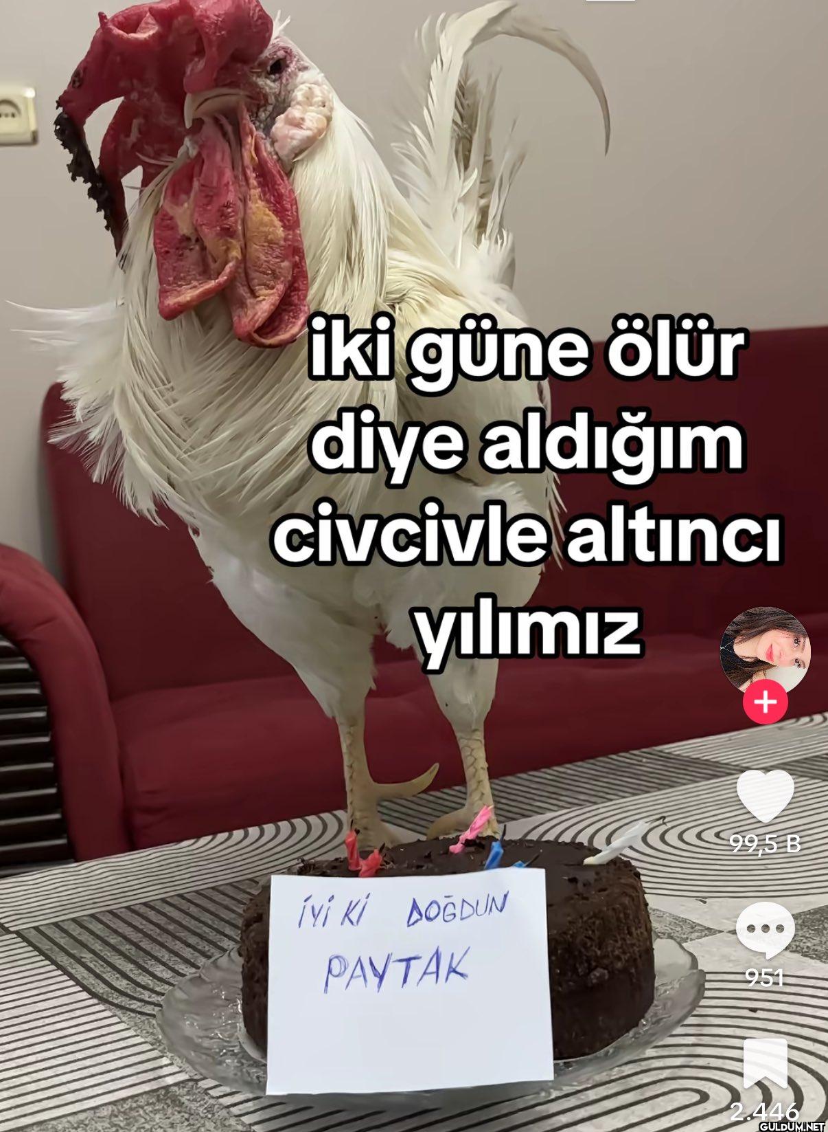 İki güne ölür diye aldığım...
