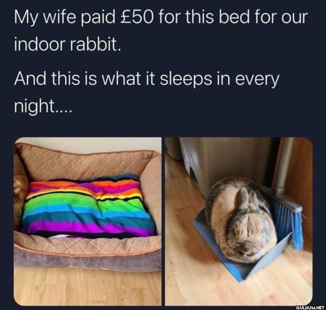 Is that a dust bunny? 😂   ...