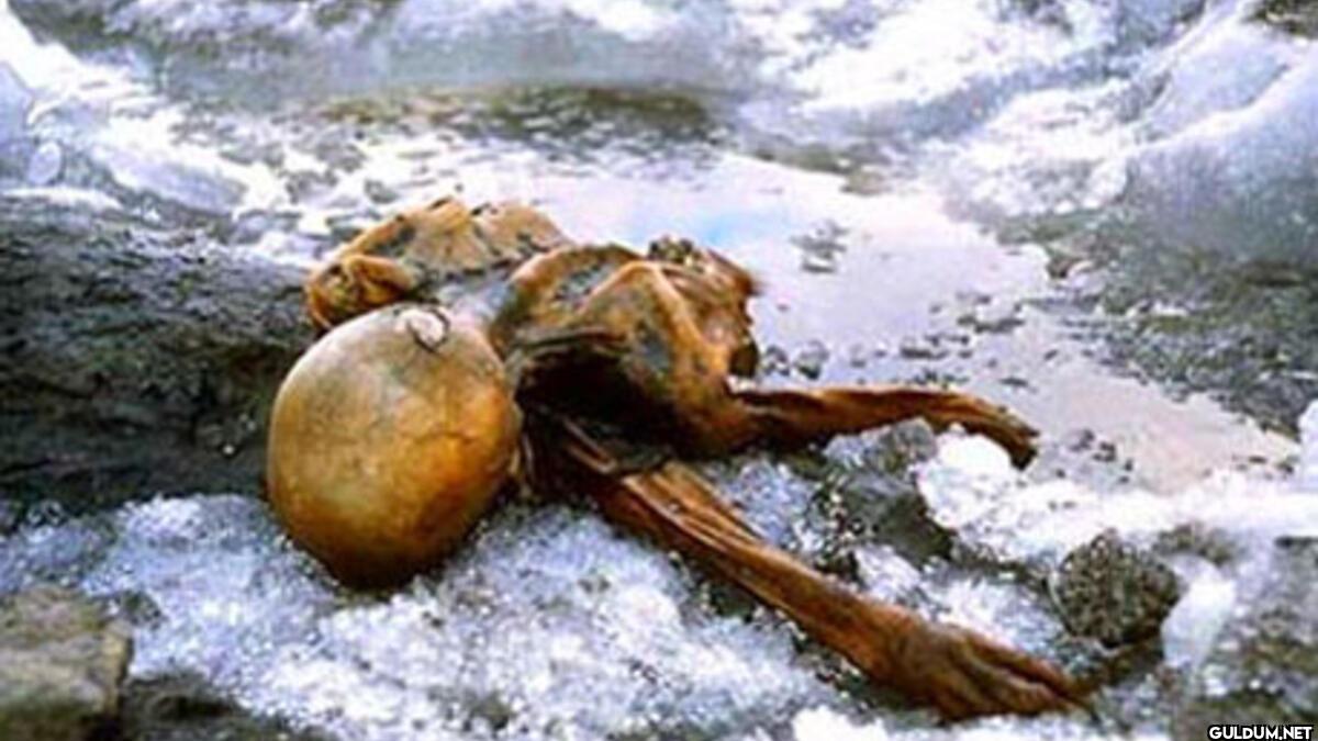 Ötzi' nin diğer...