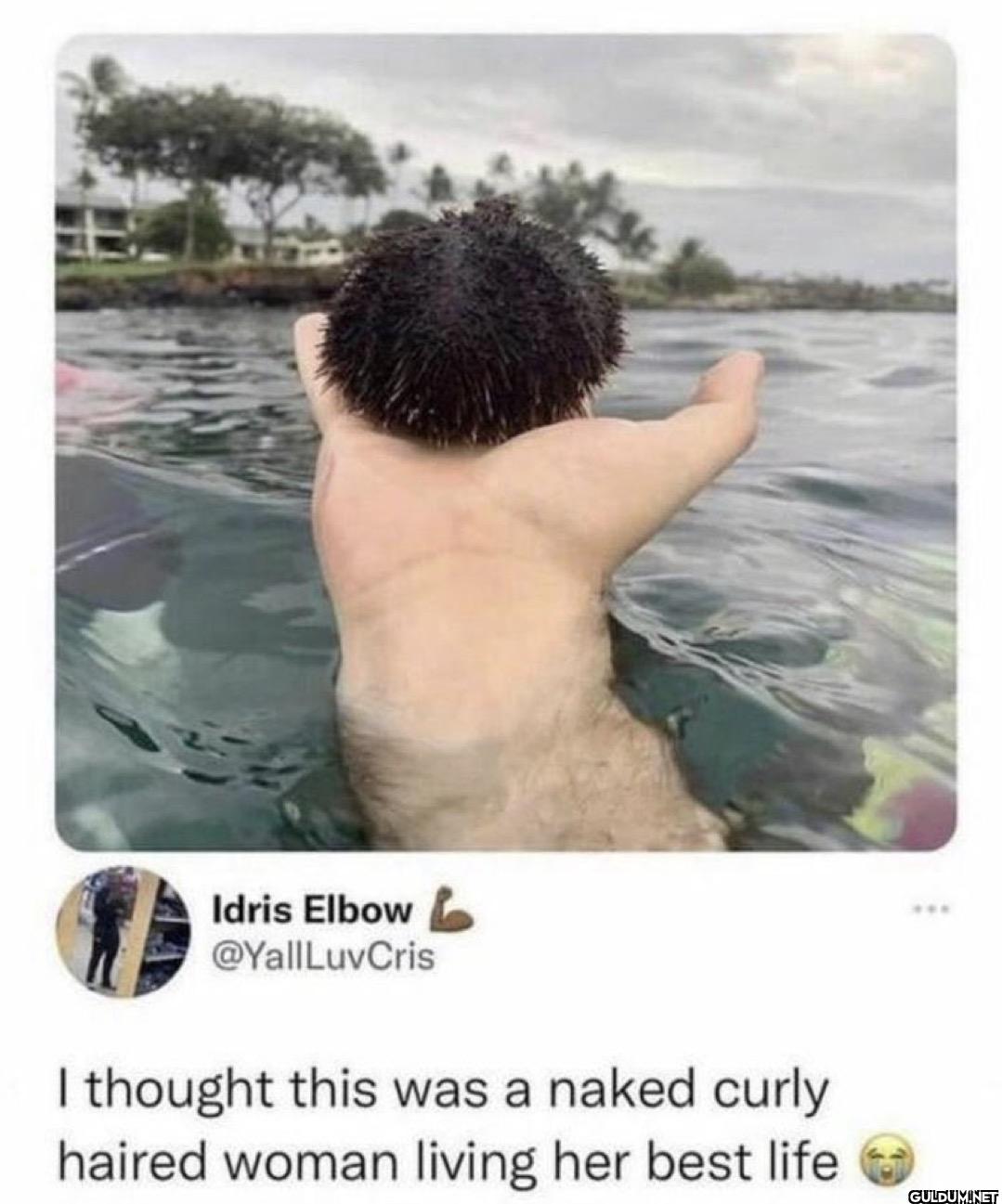 I thought this was a naked...