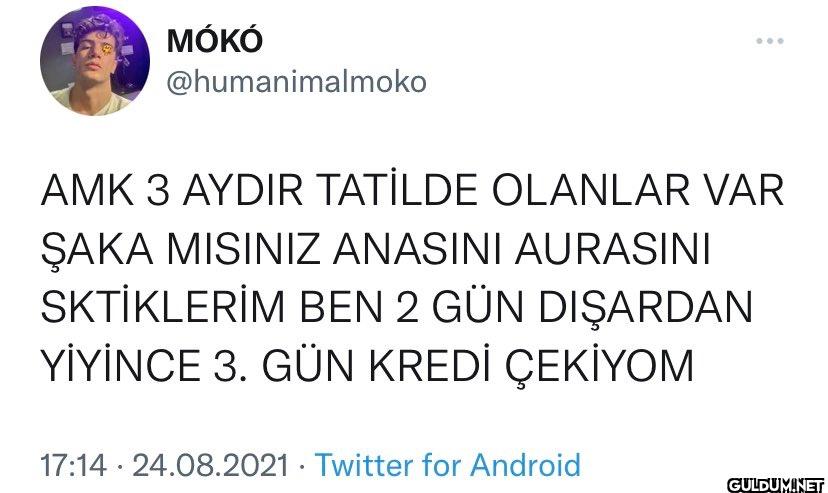 AMK 3 AYDIR TATİLDE...