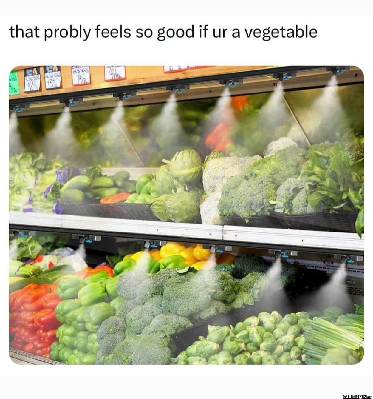 that probly feels so good...