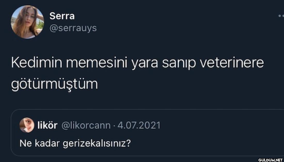 Kedimin memesini yara...