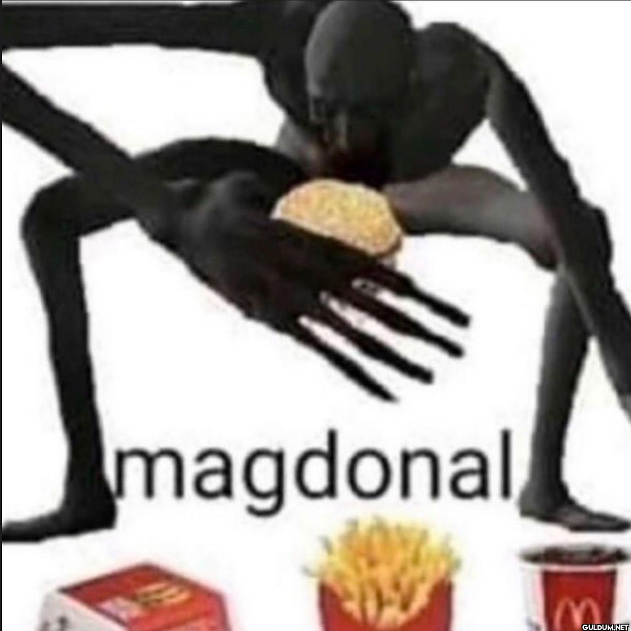 magdonal