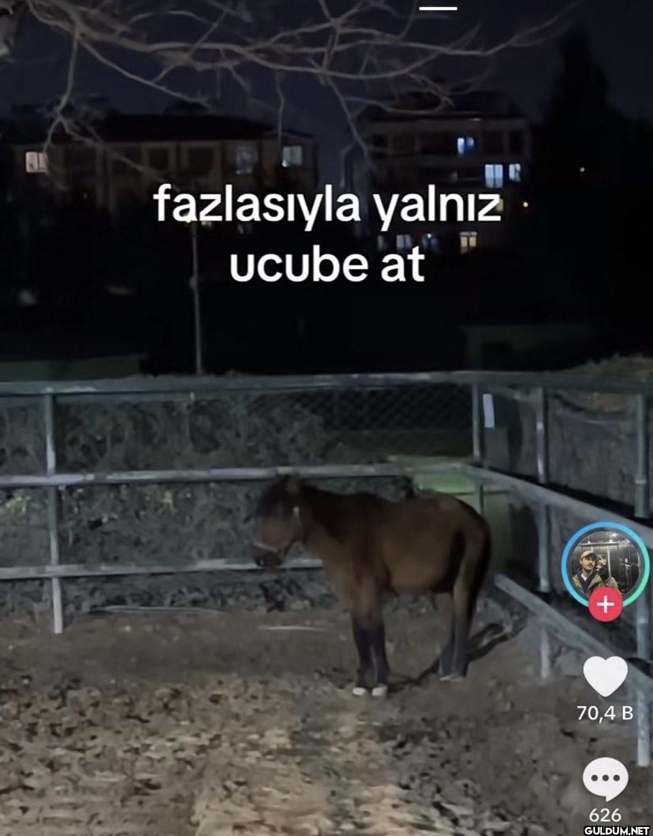 duştan sonra telefonda hic...