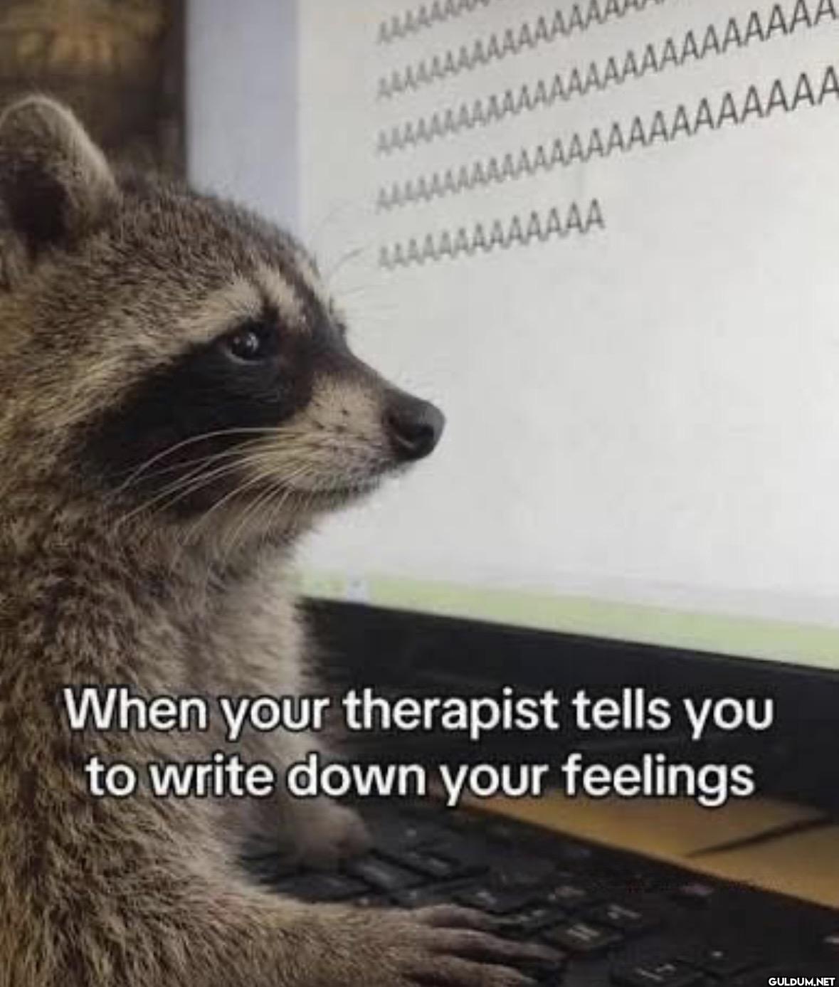 444444AAAAAAAAA...