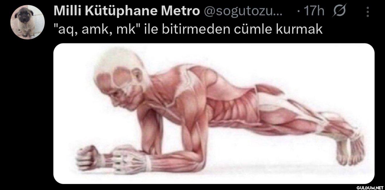 17h S "aq, amk, mk" ile...
