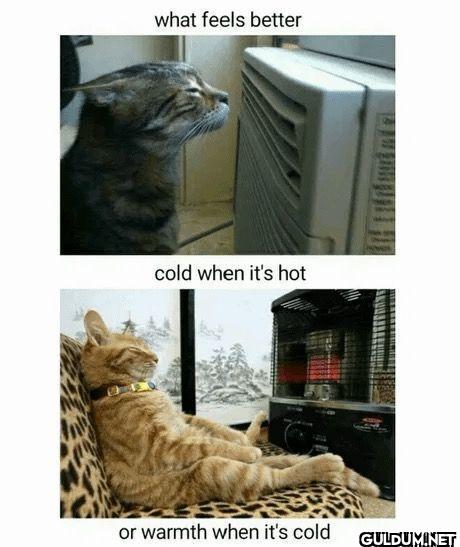 what feels better cold...