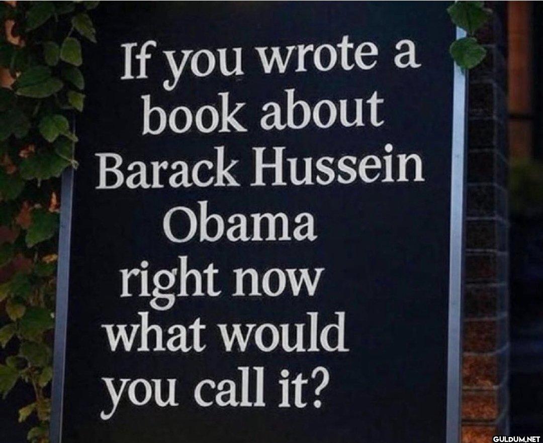 What would you call it?   ...