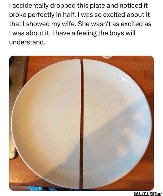 ︎ ︎ ︎ ︎ ︎ ︎    I...