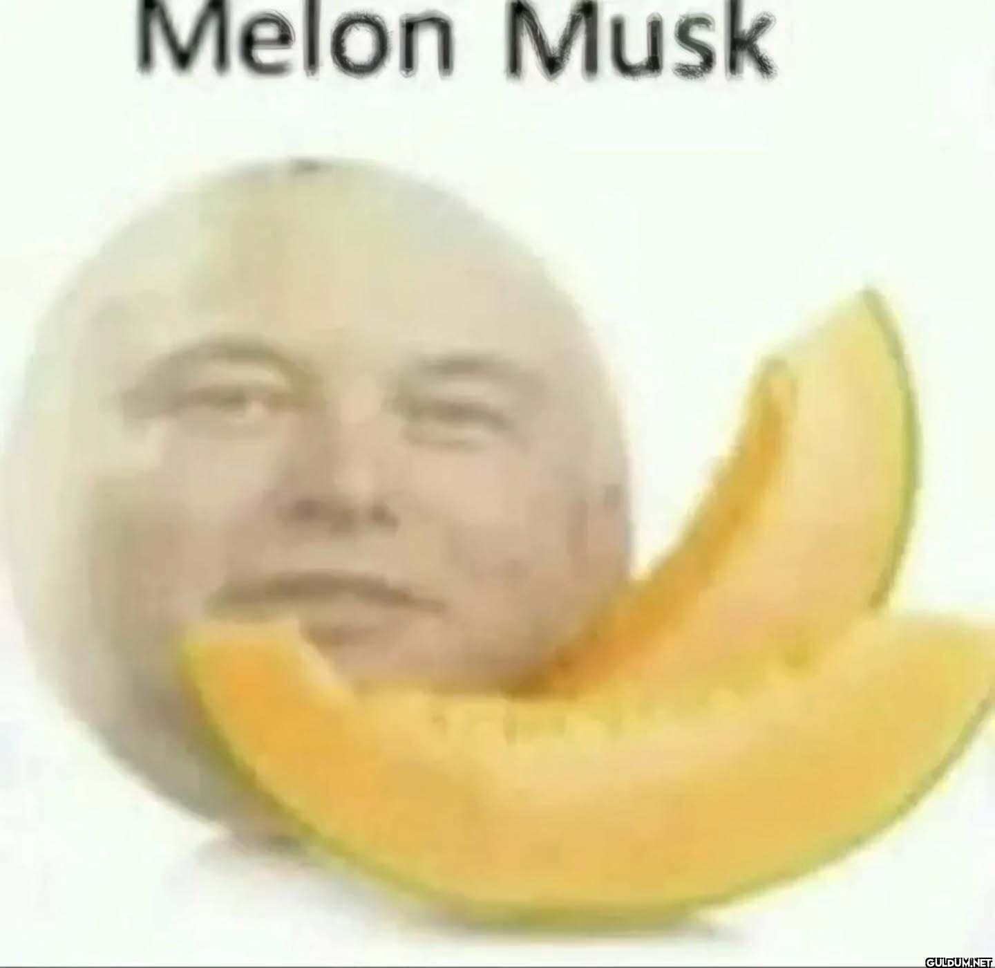 Melon Musk