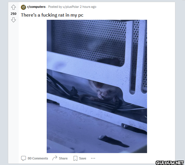 =  ྨ ©> r/computers....