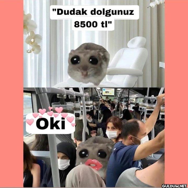 "Dudak dolgunuz 8500 tl" Oki