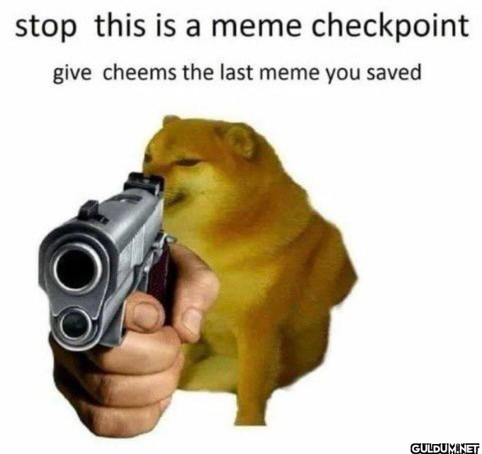 Do it.    stop this is a...