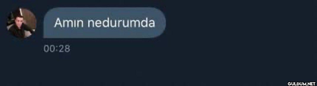 Amin nedurumda 00:28