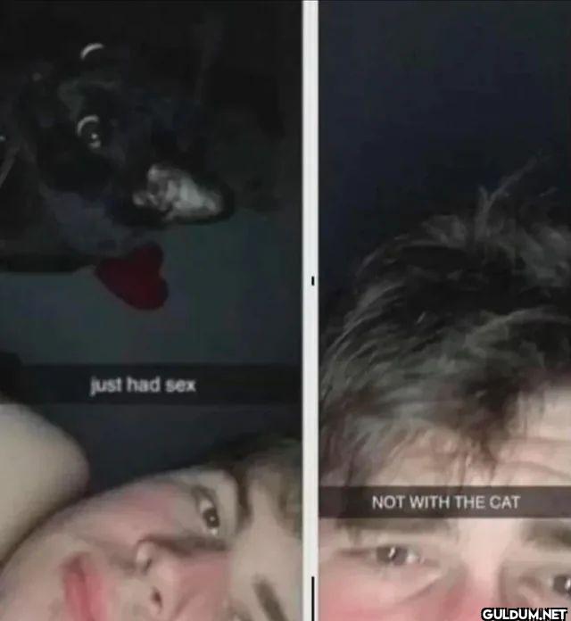 just had sex NOT WITH THE CAT