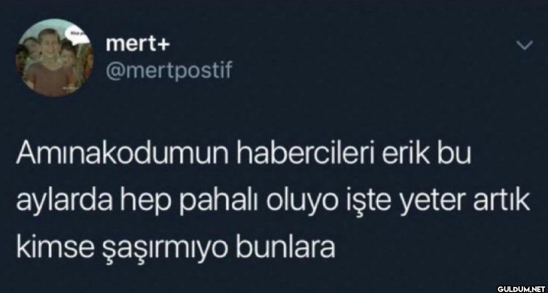 Aminakodumun habercileri...