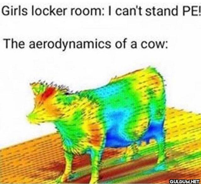 Girls locker room: I can't...
