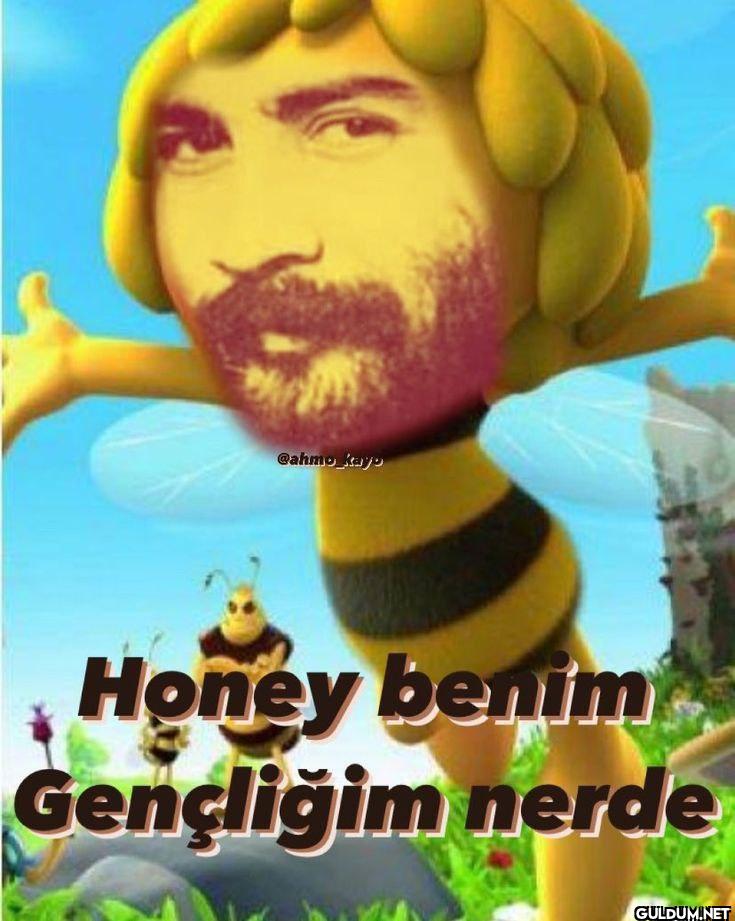 Honey benim Gençliğim nerde