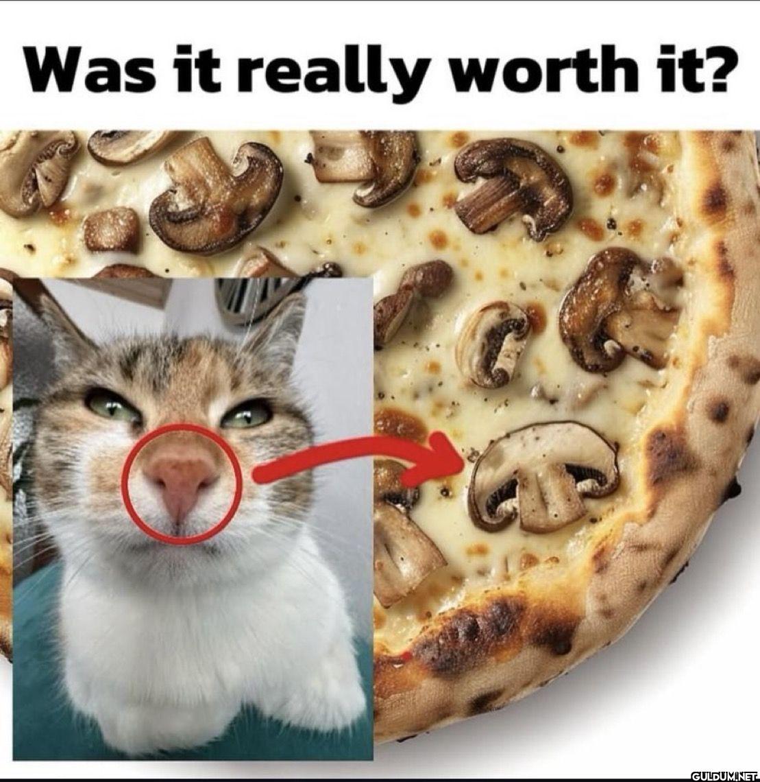 Was it really worth it?