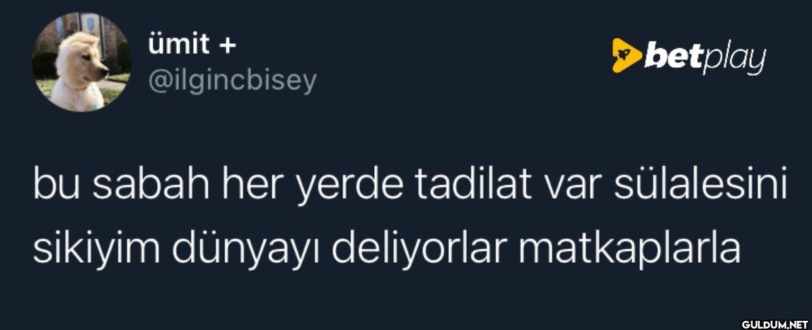 betplay bu sabah her yerde...