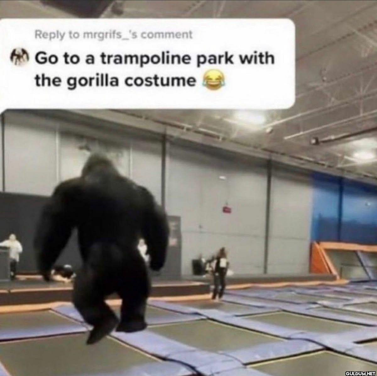 to mrgrifs_'s comment Go...