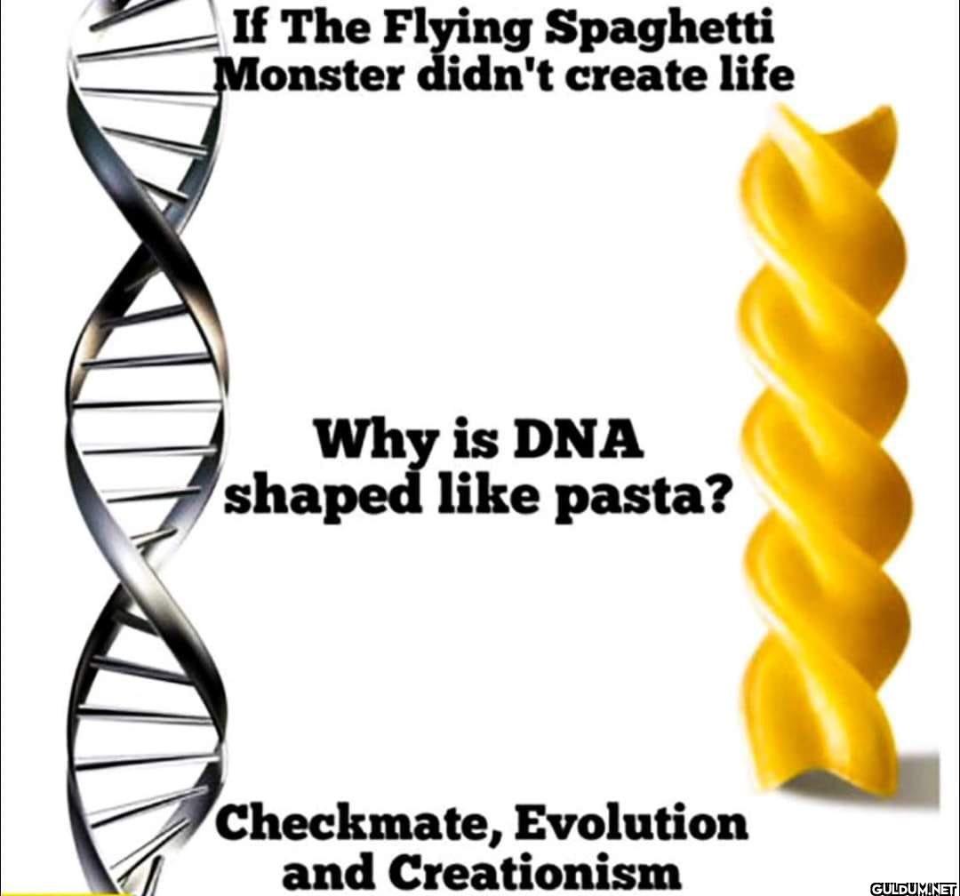 If The Flying Spaghetti...