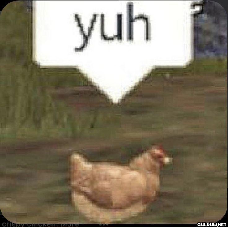 yuh crispy chicken. More