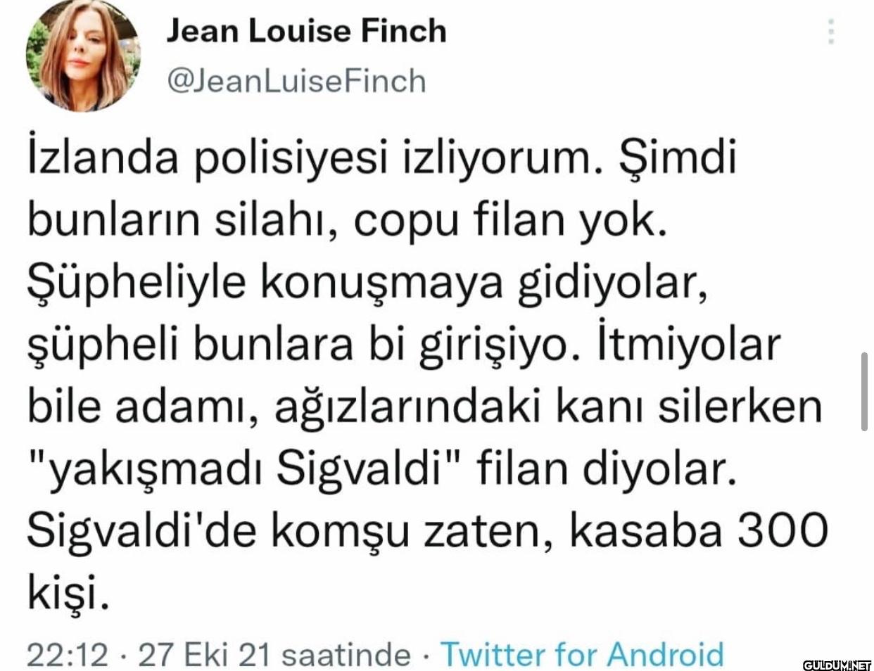 İzlanda polisiyesi...