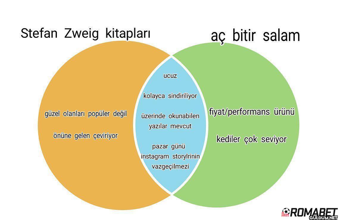 Stefan Zweig kitapları...