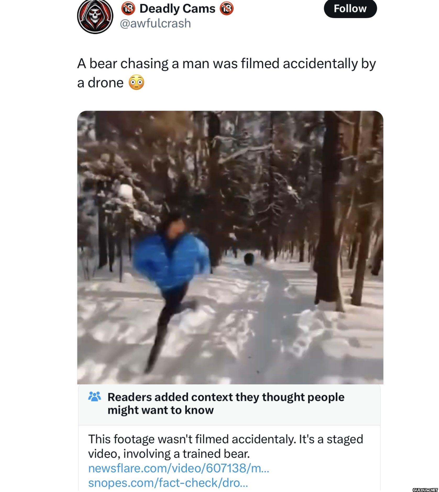That’s a nice bear.    18...