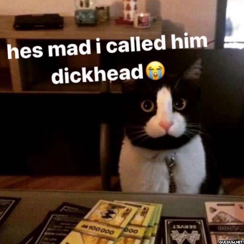 😭😭    hes mad i called him...