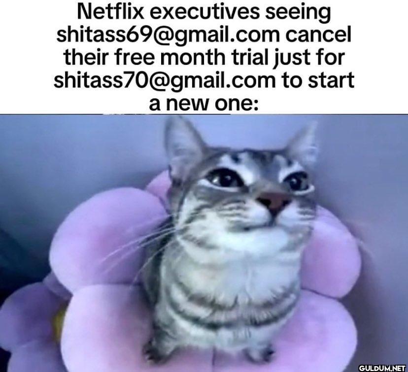 Netflix executives seeing...