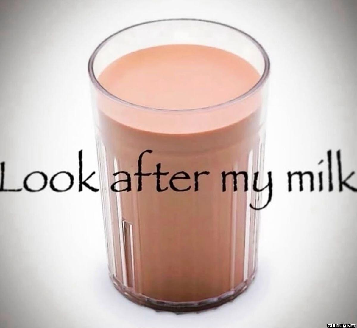 Look after my milk