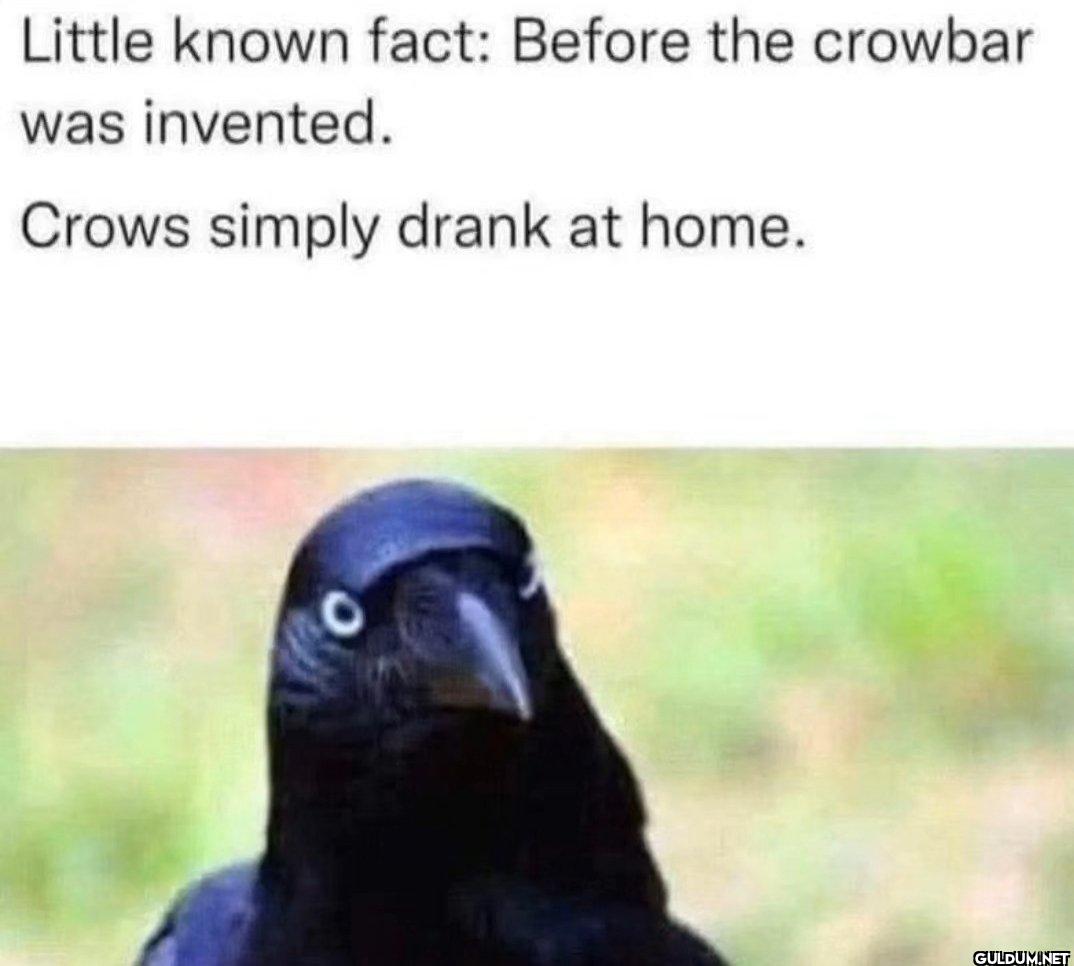 Yes.    Little known fact:...