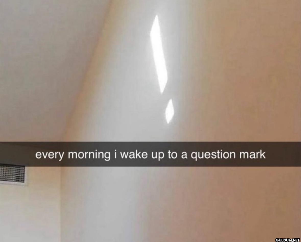 every morning i wake up to...