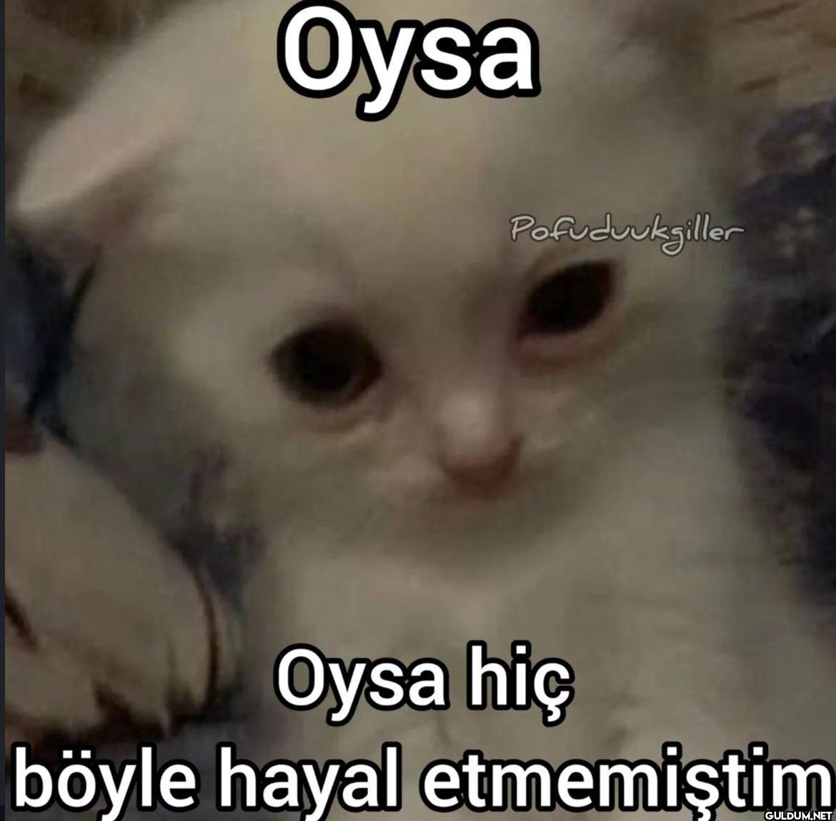 Oysa Pofuduuksiller Oysa...