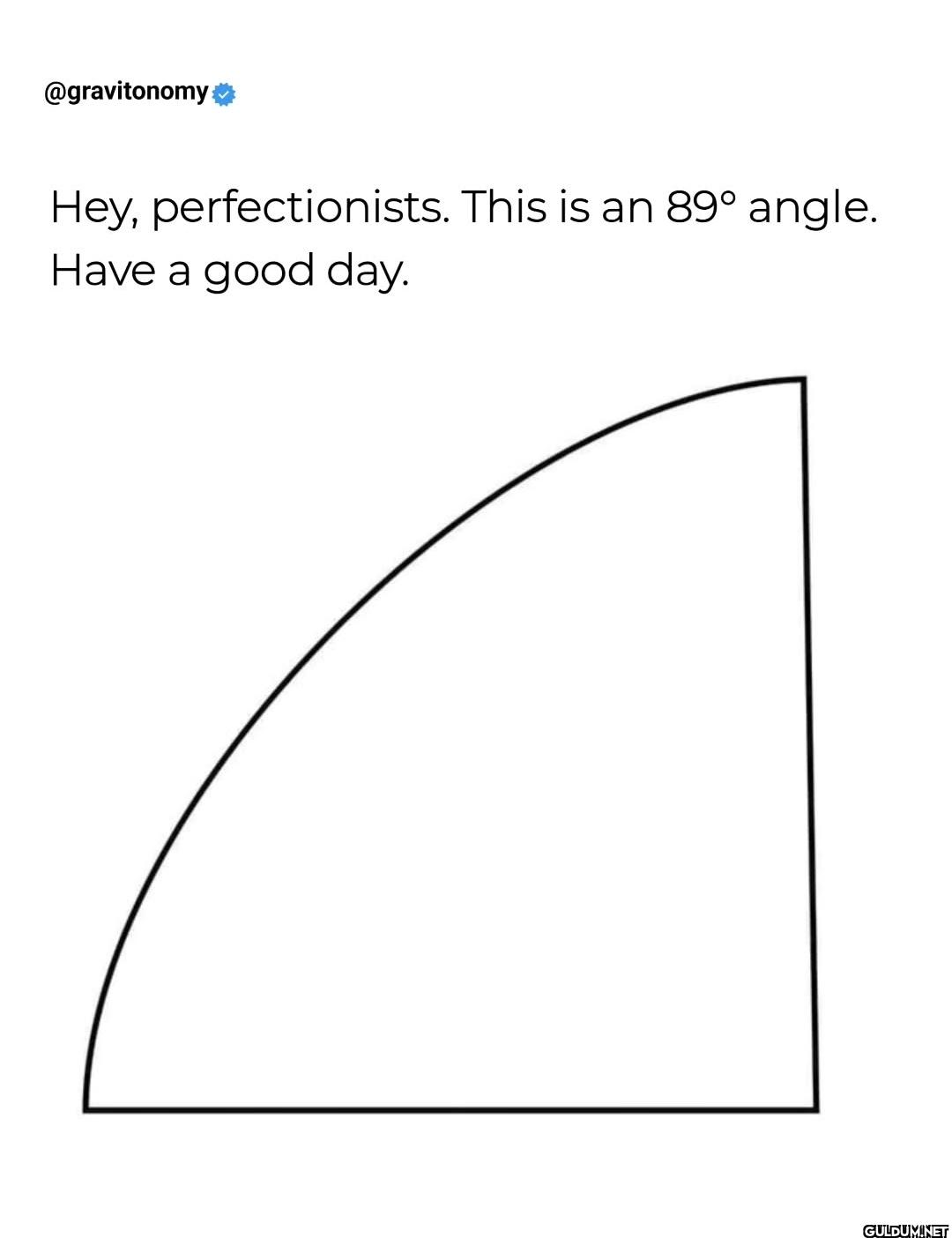 The more I look at it the...