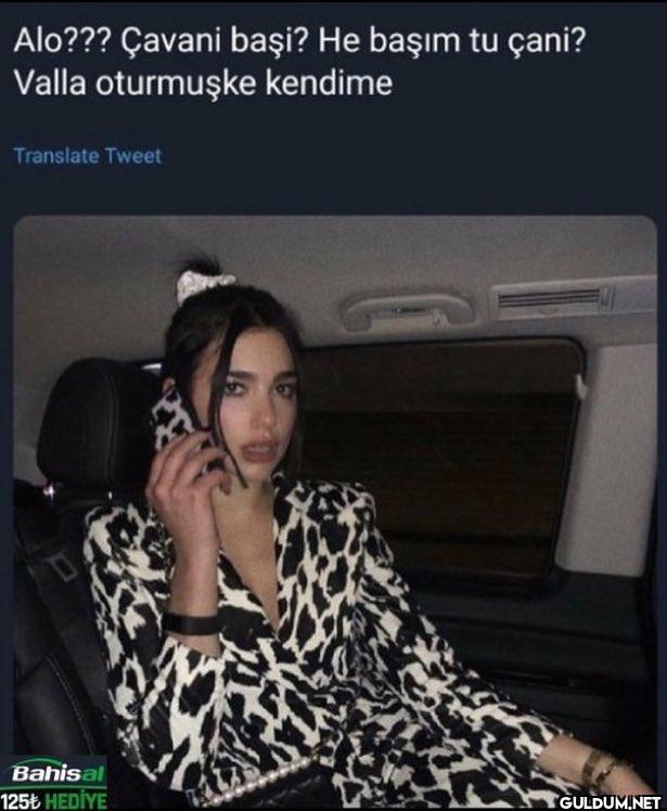 Alo??? Çavani başi? He...