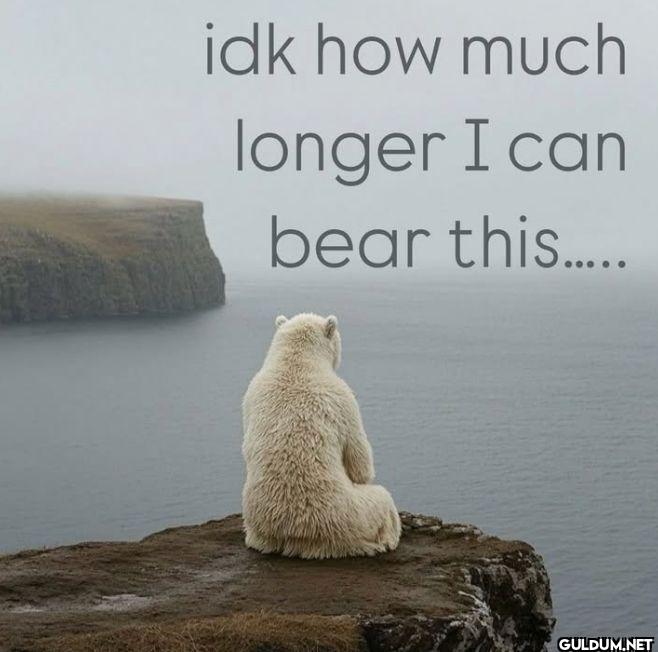 idk how much longer I can...