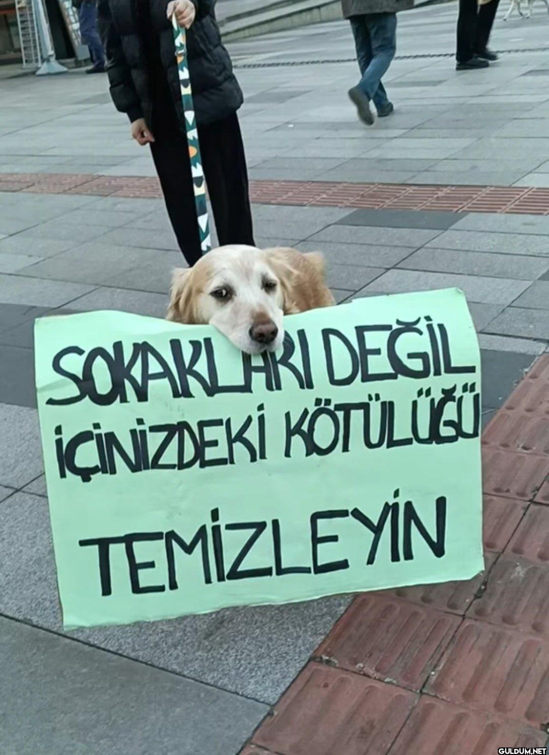 SOKAKLARI DEĞİL İÇİNİZDEKİ...