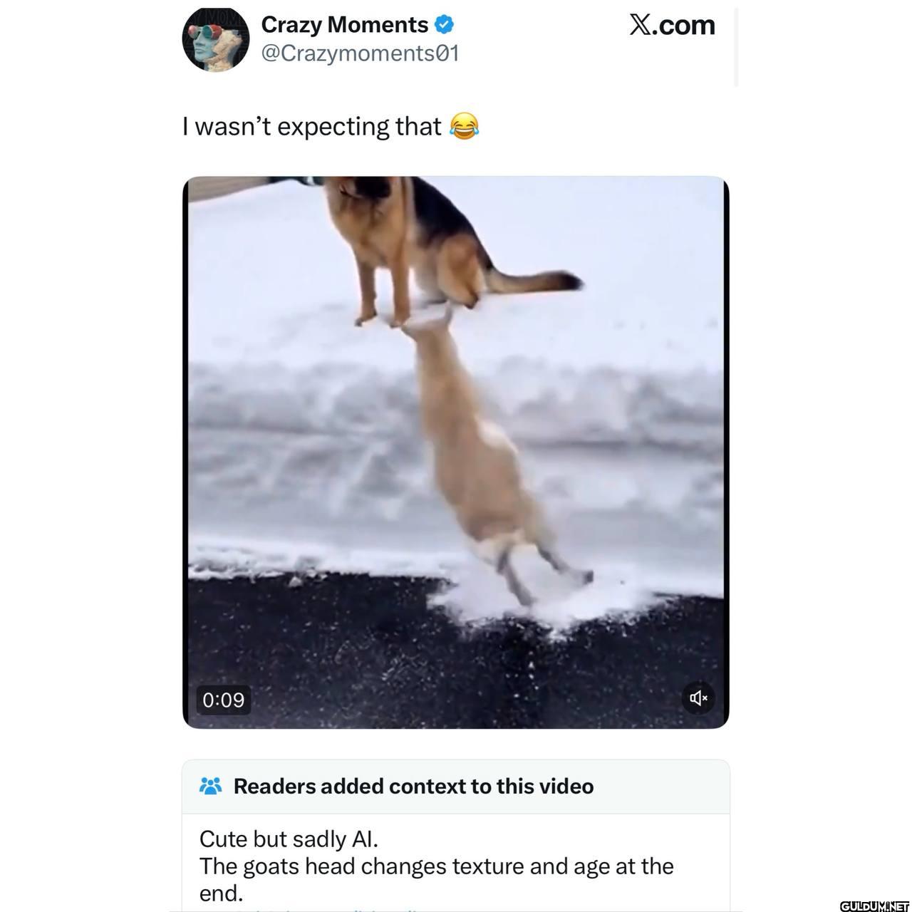 I wasn't expecting that...