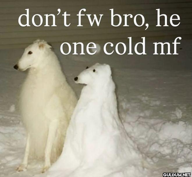 don't fw bro, he one cold mf