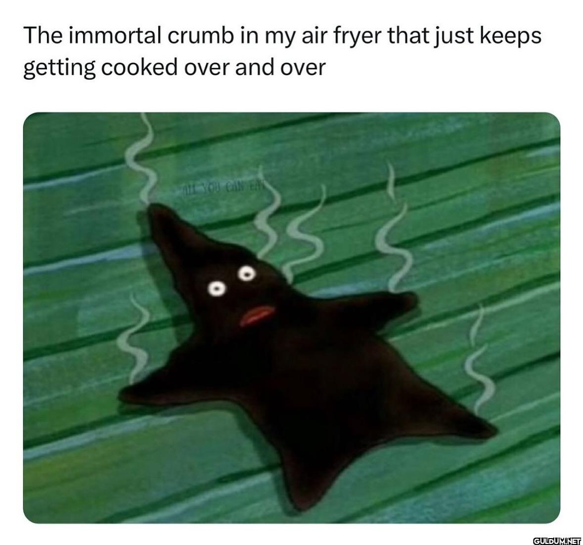 ︎ ︎ ︎ ︎    The immortal...