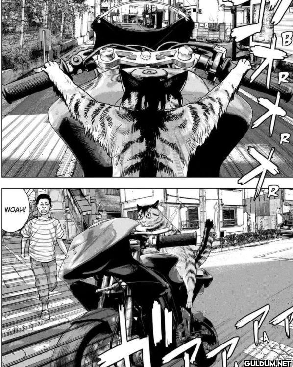 WOAH! B R R