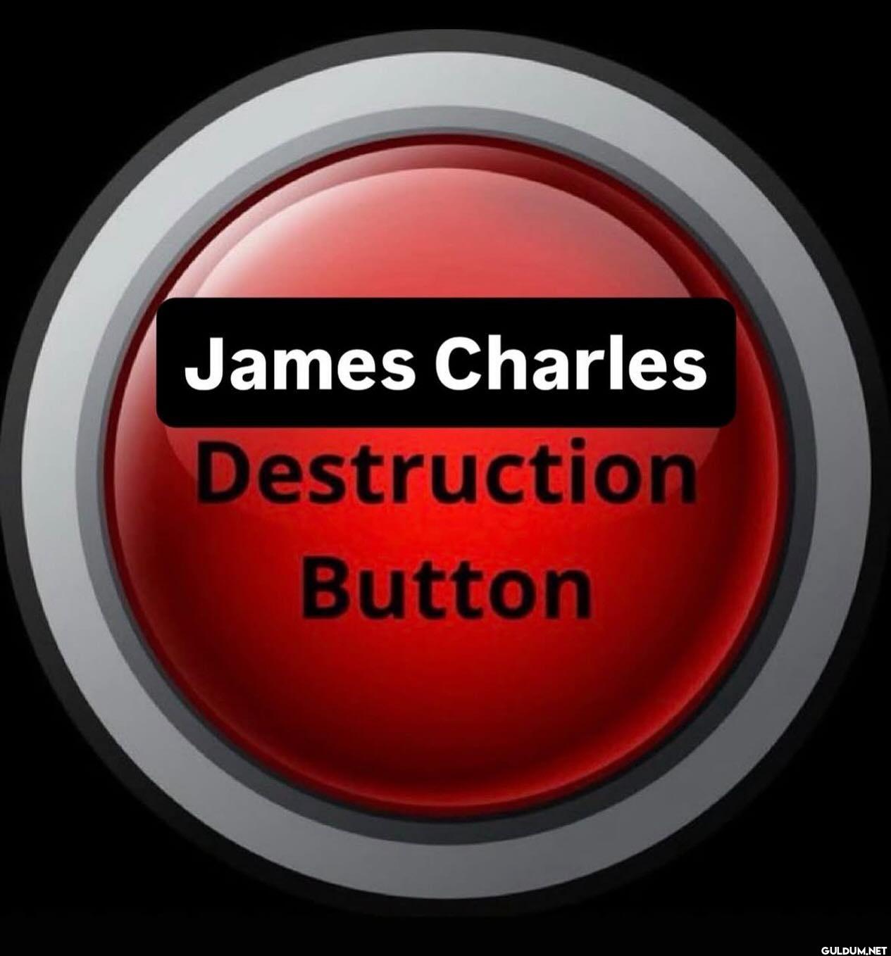 James Charles Destruction Button