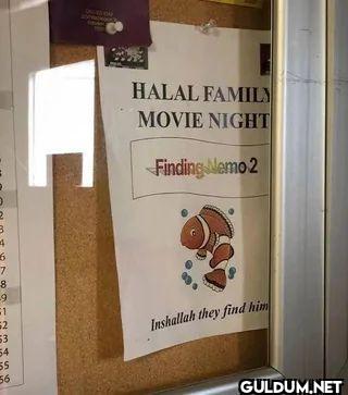HALAL FAMILY MOVIE NIGHT...