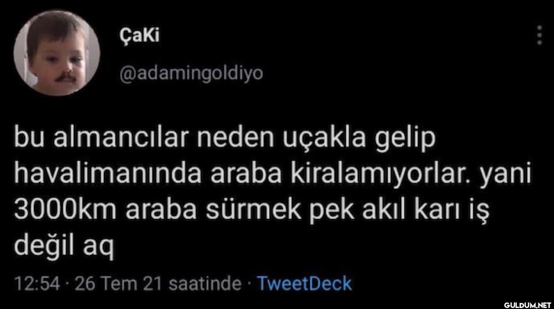 bu almancılar neden uçakla...