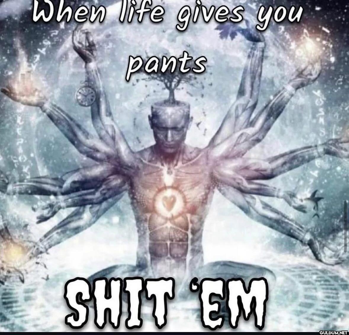 When life gives you pants SHIT 'EM