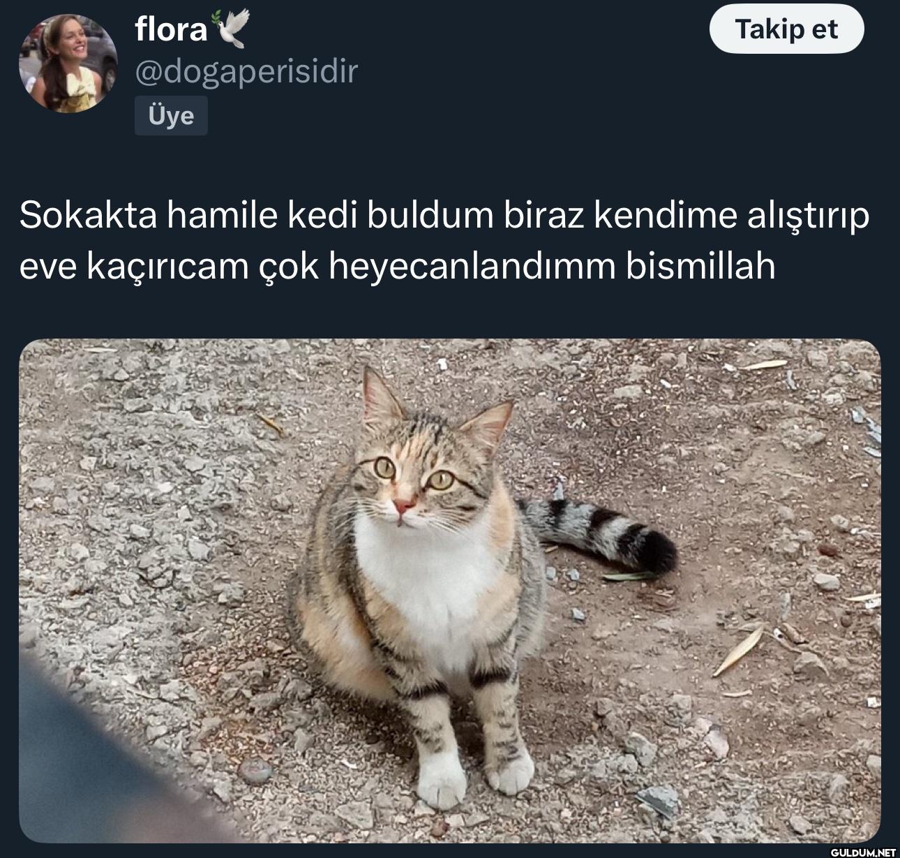 Üye Takip et Sokakta...